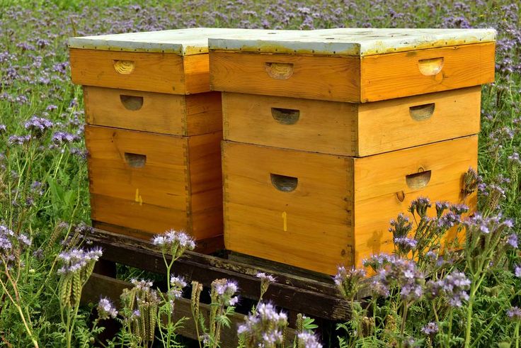 Honey Bee Cozy Winter Hive Wraps For Sale