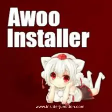 how to use awoo installer